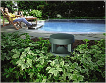 Free Space&reg; 51 environmental speaker